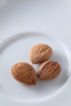 Prunus armeniaca - bitter apricot kernel- kuxingren
