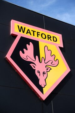 The crest of Watford Football Club features a stylised red hart deer on a black and yellow background