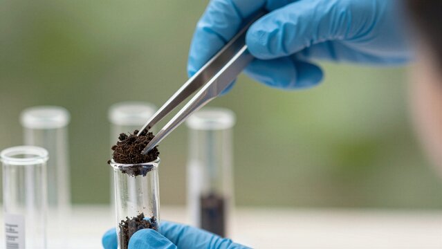 A researcher wearing blue gloves uses tweezers to place soil sample into test tube for environmental analysis.