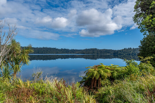 Lake Ianthe, Matahi, spiegelglatte Wasseroberflaeche mit Wolkenspiegelung, Baumfarn und Cordyline im Vordergrund, Westcoast, Suedinsel, Neuseeland