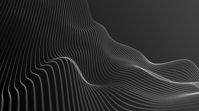 Abstract white flowing wave lines on dark background curves dynamic geometric minimalist monochrome