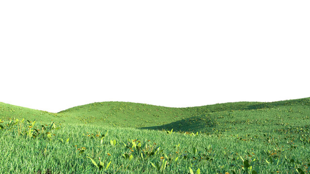 Wild Grass Meadow Isolated PNG, Rolling Grassland, Transparent Background