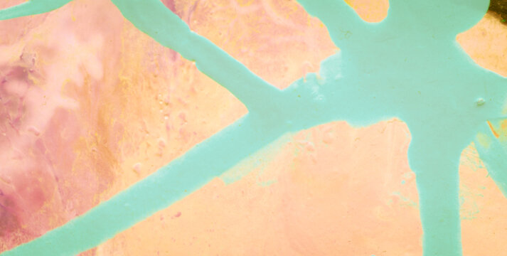 Decorative Artwork Blending Ebru Aquatic and Clay Effects