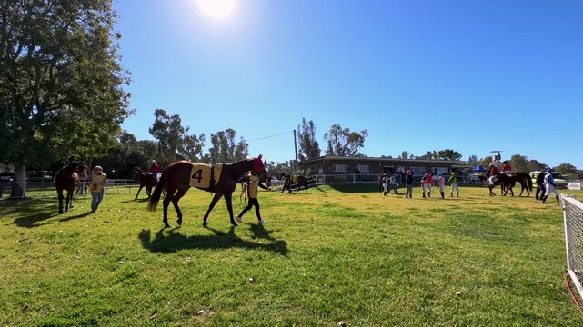 Thoroughbred Horses Walking in Mounting Yard at Country Racecourse