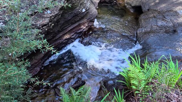 Small Waterfall Flowing Over Rocks in Wentworth Falls Forest