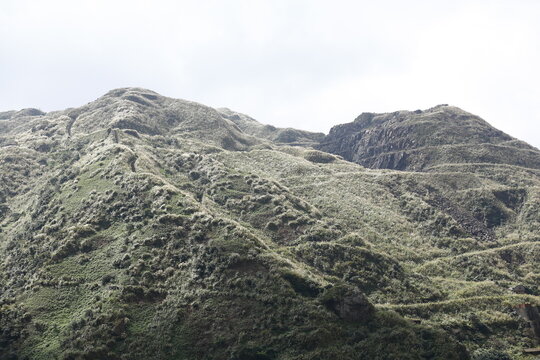 Silver Grass Covers a Rugged Mountain Ridge.