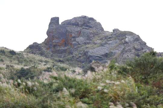 Teapot Mountain Rises Above Wild Silver Grass.
