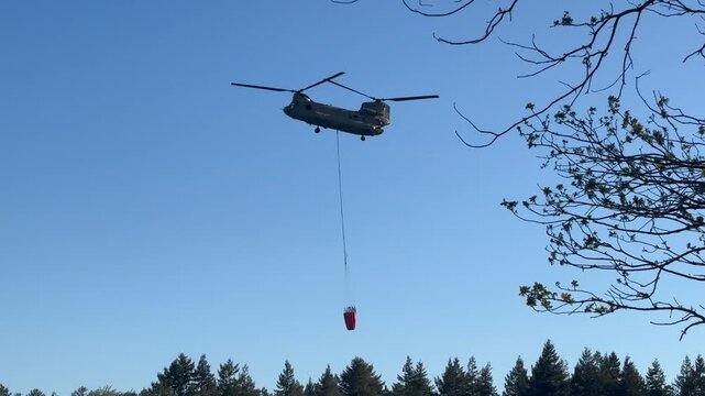 Chinook Transport helicopter of The Royal Netherlands Air and Space Force carrying a water bucket or bambi bucket for extinguishing wildfires in nature loads water into the bucket to put out a wWildfi
