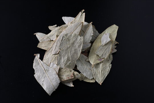 Senna alexandrina - Senna leaf - fanxieye