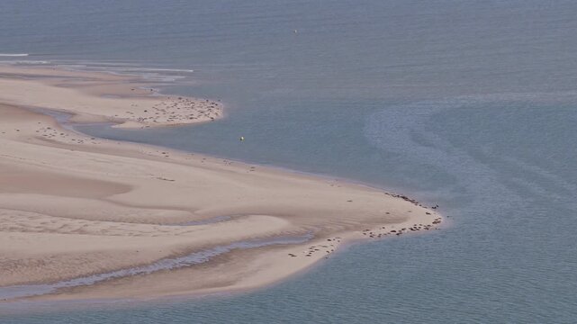 Renesse (Zeeland, The Netherlands) | Drone
