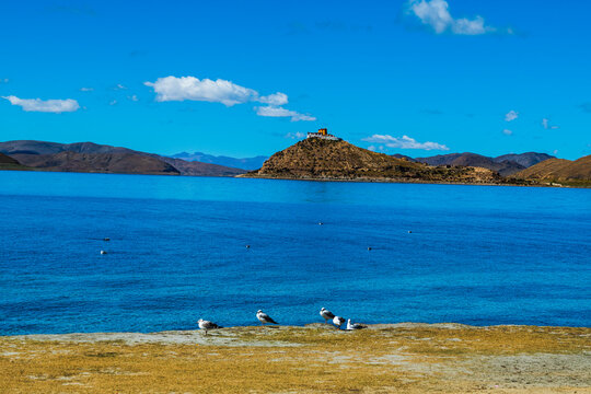 Panoramic landscape of Yamdrok Yumtso (Yamdrok Lake) viewed from Rurila Viewing Platform in Nagarze County, Shannan, Tibet, China. The iconic Rituo Monastery sits on a small peninsula extending into t