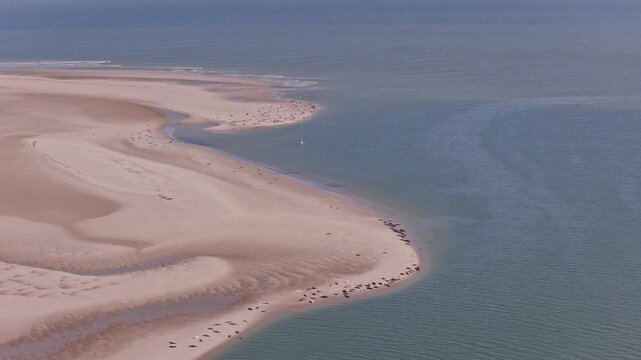Renesse (Zeeland, The Netherlands) | Drone
