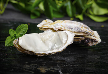 Fresh Raw Oysters on Dark Wood with Mint Garnish - Premium Seafood Studio Photography © DangThi