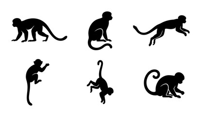 Monkey Silhouettes: Primate Poses, Jungle Animals, Wildlife Vector Icons, Black & White