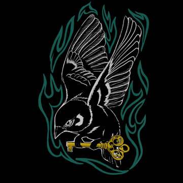 Blackmagic bird