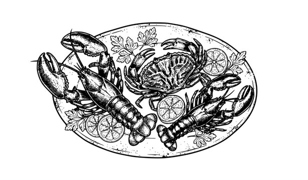 Grunge Seafood Platter with Lobsters and Crab Vector