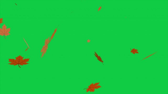 Loopable Falling Autumn Leaves Background on Green Screen Chroma Key