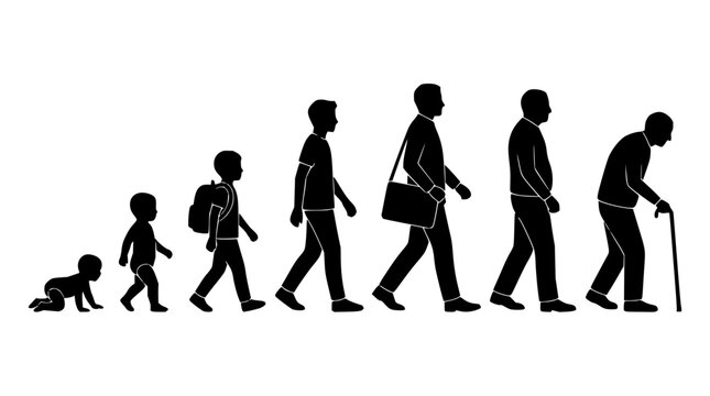 Human life stages set with silhouette illustrations featuring baby, child, teenager, adult, and elderly with growth arrows and timeline