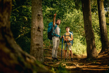 Fototapeta premium Two hikers explore a forest trail while pointing towards the distance during a sunny day in nature