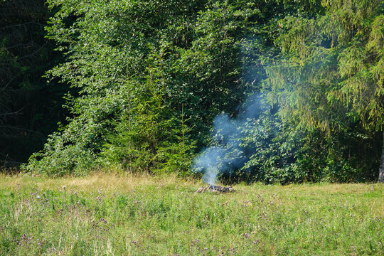 A plume of blue smoke rises from a small campfire in a grassy meadow at the edge of a dense green forest on a sunny day.