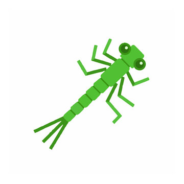 Green damselfly nymph aquatic insect vector illustration