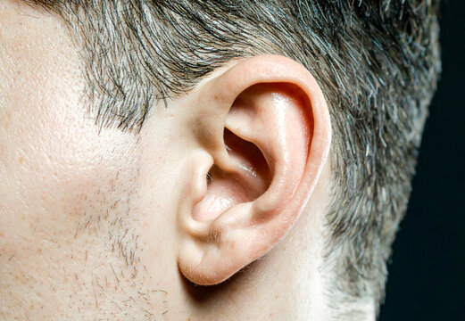 Male ear showing hearing, anatomy, and human body