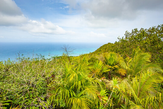 Ile de Praslin