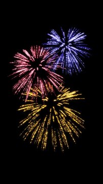 fireworks multicolor explosion new year celebration alpha channel animation,birthday and christmas shiny and glowing bursts on transparent background vertical social media motion design element