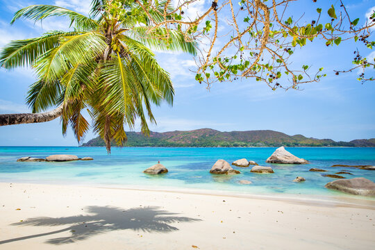 Ile de Praslin