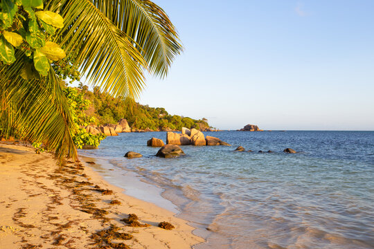 Ile de Praslin