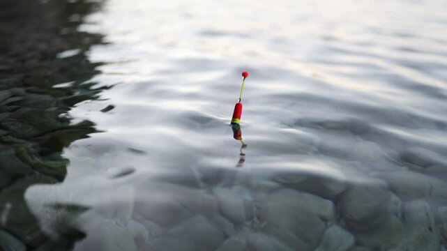 A fish bites and pulls the colorful fishing float under clear shallow sea water creating ripples above visible stones during a tense moment of coastal fishing near shores