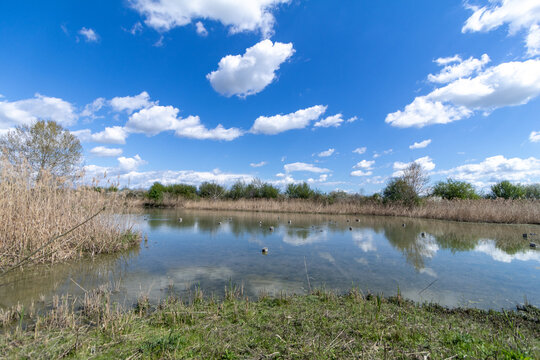 Manzolino and Tivoli Oasis Nature Reserve, Province of Modena