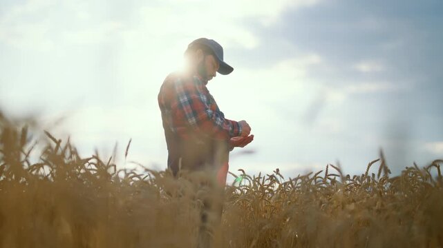 Modern technology in agribusiness, farmer counting grains in agricultural fields . Man preparing to sowing and growing plants, bioengineering and agronomy, professional male farm worker in farmland