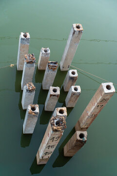 Concrete Bridge Foundation Piles Emerging from River Water at Bridge Construction Site Aerial Close Up