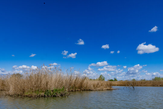 Manzolino and Tivoli Oasis Nature Reserve, Province of Modena