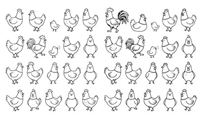 Obraz premium Hand Drawn Farm Chicken Hen Doodle Vector Illustration Set