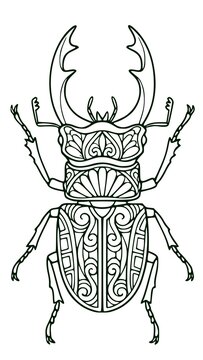stag beetle with patterns. Detailed vector black and white outline drawing of a horned insect in mandala style for coloring page