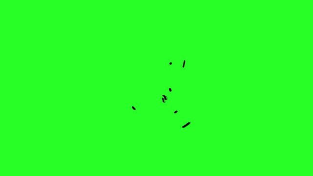 Halloween Witch Hat Outline Animation Green Screen Video