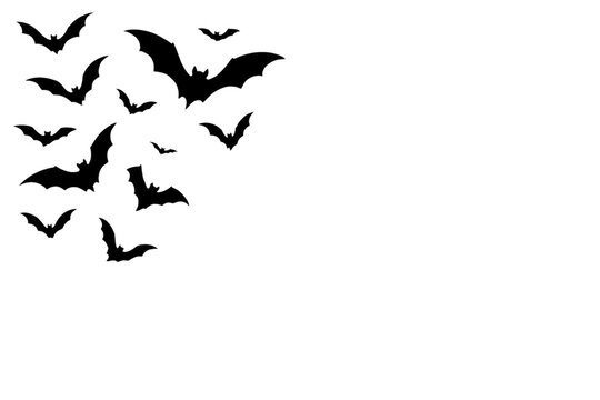 black bat silhouettes illustration, spooky flying bats graphic, Halloween horror design element isolated PNG with Transparent Background