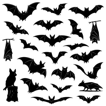 Halloween bat silhouettes, black flying bats illustration set, spooky gothic animal shapes for design isolated PNG with Transparent Background