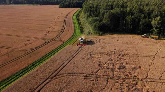 Agricultural machinery harvesting wheat in a vast field with green borders and forested areas in the background