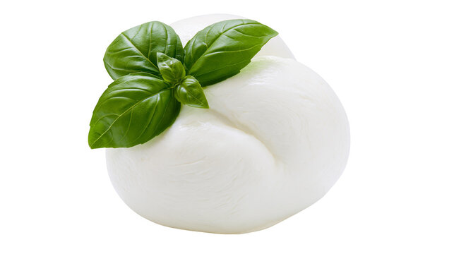 Fresh mozzarella cheese ball with green basil leaves, isolated on transparent background