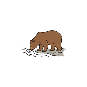 Brown grizzly bear standing on river bank drinking water illustration