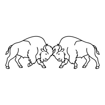 Two bison facing each other in confrontation line art illustration with wildlife