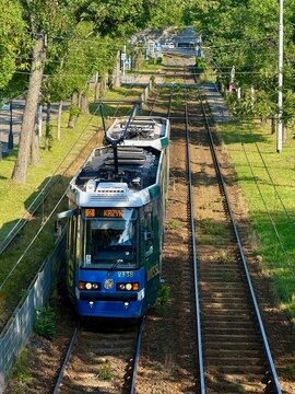 Wroclaw, Poland - August 03 2026 : Blue MPK tram number 2338 on route 2 to Krzyki runs along a tree-lined segregated track in the Szczytnicki district, seen from above on a summer evening