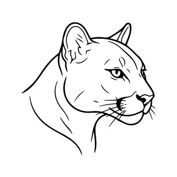Close up portrait of a cougar head line drawing with mountain, portrait