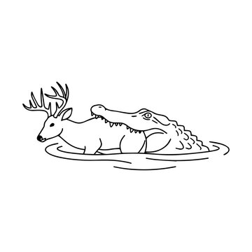 Alligator attacking a deer in water coloring book line art illustration