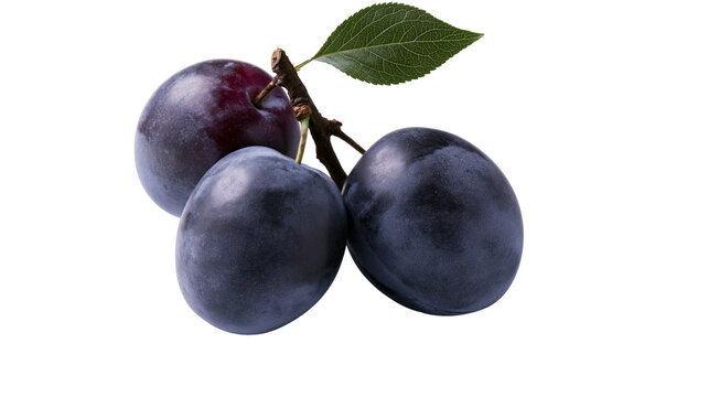 Three ripe dark purple plums on a branch with a green leaf, isolated on transparent background