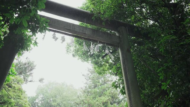 Weathered stone torii gate at a shrine in gentle drizzle, low angle, cinematic b-roll, Tokyo, Japan