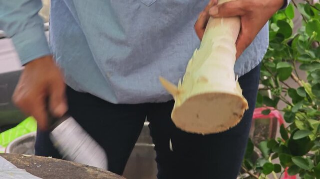 Peel bamboo shoot at market.